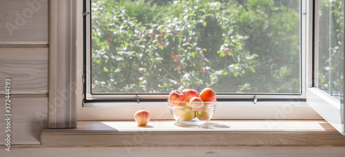 White window with mosquito net in a rustic wooden house overlooking the garden. Organic apples in bowl on windowsill.
