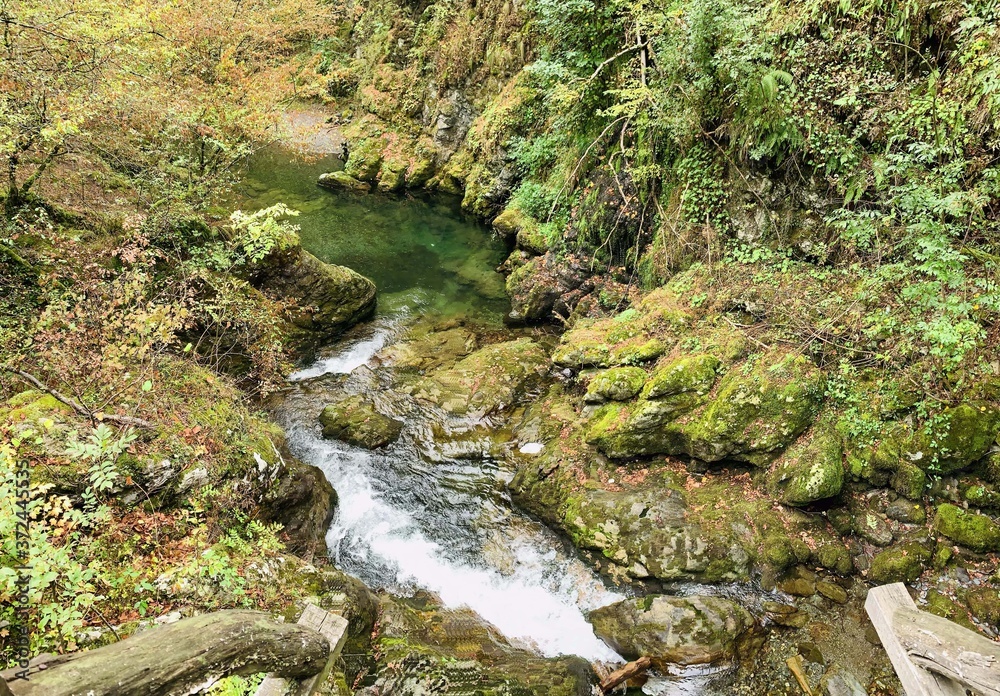 Beautiful Stream valley in Bulgaria Beautiful Stream valley in Bulgaria