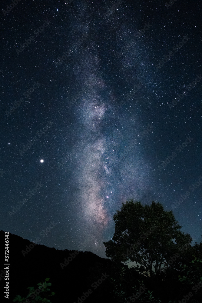 森の中で見えた星