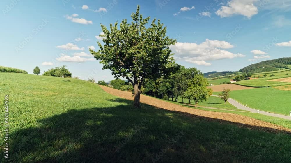 Nature in Baselland in Switzerland. It was recorded in the afternoon. The camera movement is a rotation, that tracks the tree. In the middle of the picture is a empty street. Nature in Baselland in Switzerland. It was recorded in the afternoon. The camera movement is a rotation, that tracks the tree. In the middle of the picture is a empty street.