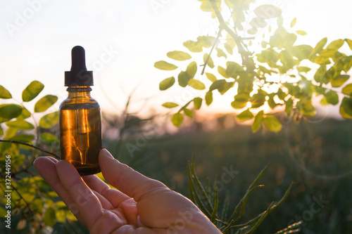 Robinia (false acacia) essential oil (remedy, extract) bottle with fresh acacia flowers