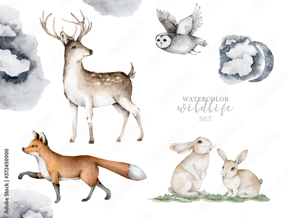 Obraz Zwierzęta leśne. Realistyczne zimowe słodkie spacery dzikość lisa, jelenia, sowy i krajobraz na białym tle ilustracja na białym tle. Wioska z dziką przyrodą. Drapieżnik, Farma