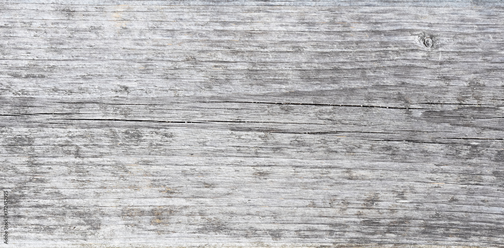 Driftwood beach goods on the Baltic Sea. Northern Germany. Backgrounds