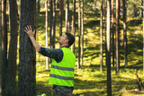forest engineering and management, renewable resources - forester hecking quality of pine tree