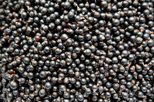 Black currant. Natural food. Gift of nature.