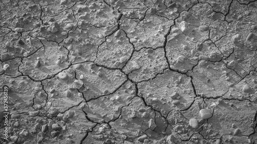 Texture of the mud