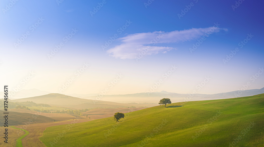 Beautiful panorama of Tuscany landscape with green grass in the morning. Travel destination Tuscany