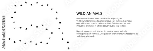 Banner of track of forest animal, trace of a predatory animal boar, vector illustration