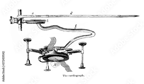 The cardiograph in the old book Human phisiology by H. Chapman, Philadelphia, 1887
