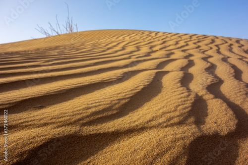 sand dunes in the dubai desert