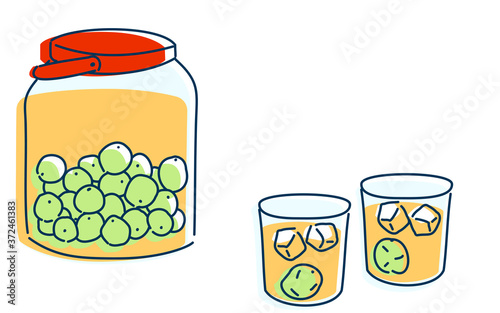 梅酒を二人で飲むイメージイラスト