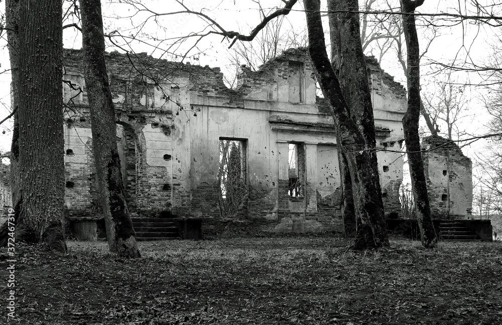 Obraz premium ruins of a manor complex built in the 1880s in the village of Hieronimowo in Podlasie, Poland