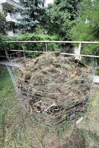 Organic composter. People are making bio composter bin in a yard