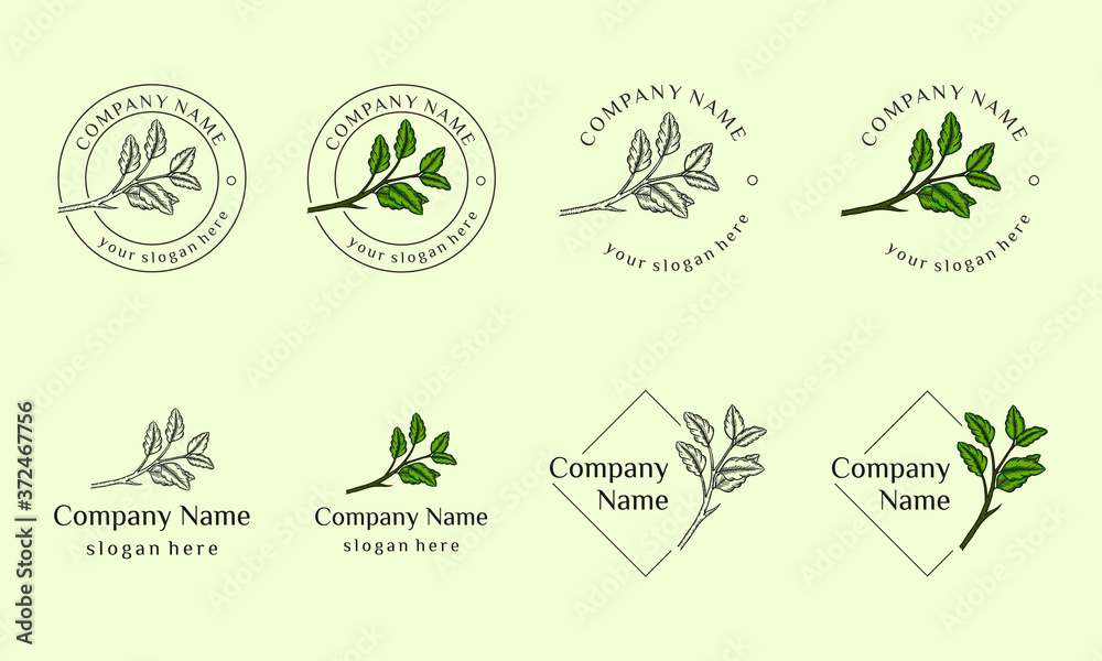Nature cosmetics logo design collection can use for beauty salon, spa, yoga, fashion, hand drawn leaf illustration Nature cosmetics logo design collection can use for beauty salon, spa, yoga, fashion, hand drawn leaf illustration