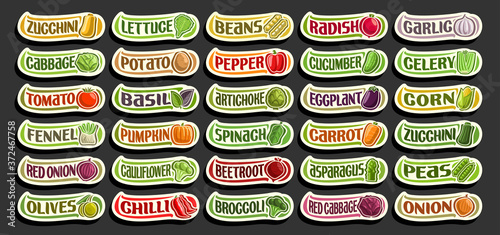 Vector set of fresh Vegetables, group of cut out cartoon vegs, various minimal design vegetable stickers for healthy nutrition, collection of isolated agriculture simple icons with words for package.