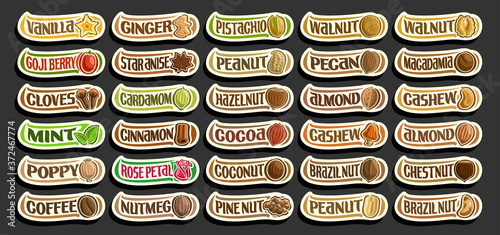 Vector set of Spices and Nuts, group of cut out cartoon raw spices and fresh nuts, various minimal design food signs for healthy nutrition, lot collection of isolated simple badges with variety words.