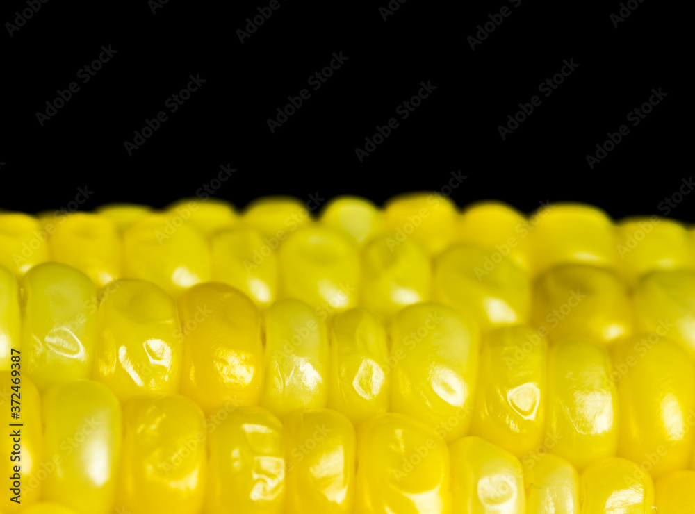 Close up boiled corn , in studio Chiangmai Thailand Close up boiled corn , in studio Chiangmai Thailand