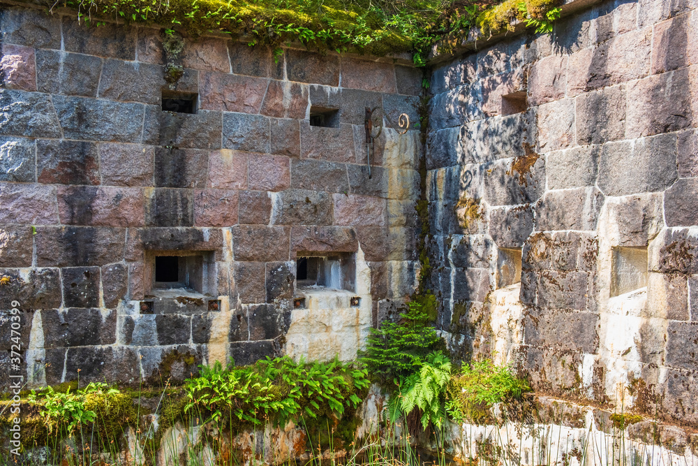 Old fortified wall in moat with green plants