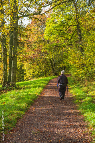 Pensioner walking with poles on a path