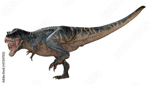 3D Rendering Tyrannosaurus Rex on White