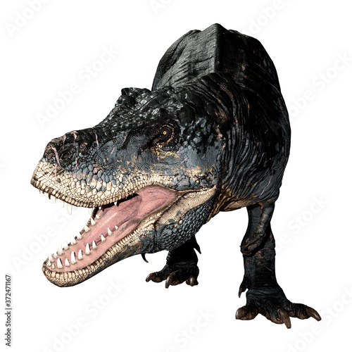 3D Rendering Tyrannosaurus Rex on White