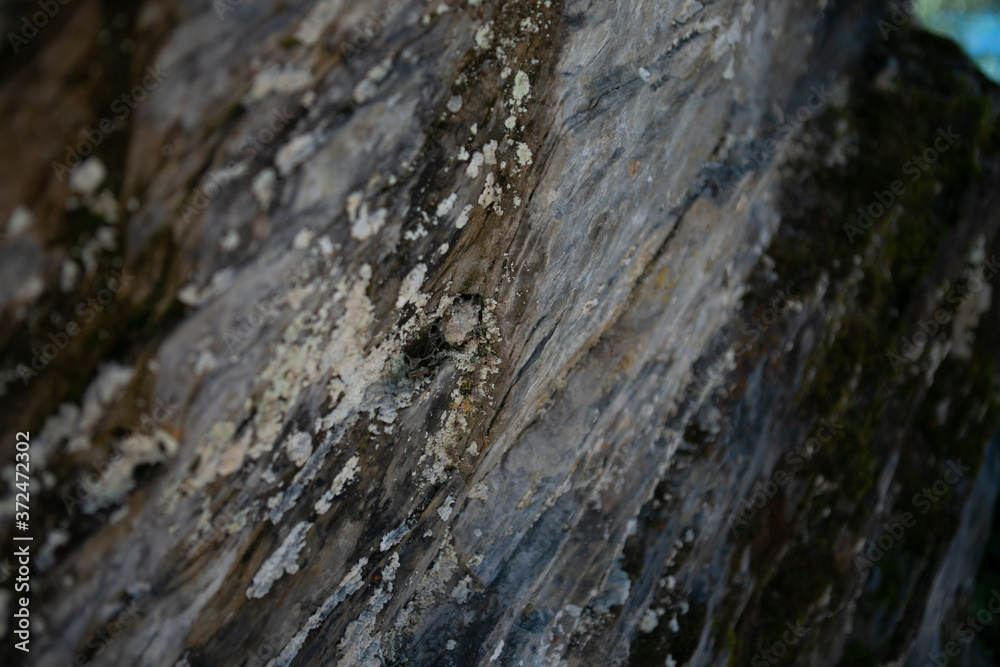 old stone wall old stone wall