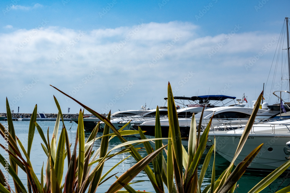 boats in the harbor