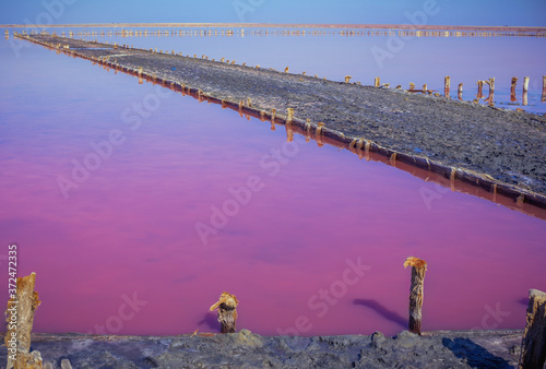 Salt, brine and mud of pink salty Sivash Lake near Azov Sea, colored by micro algae Dunaliella salina, enriching water of the lake by beta-carotene