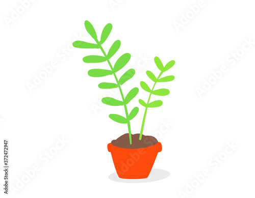 Lovely home flower on white background. Vector illustration of cartoon decoration potted plant.