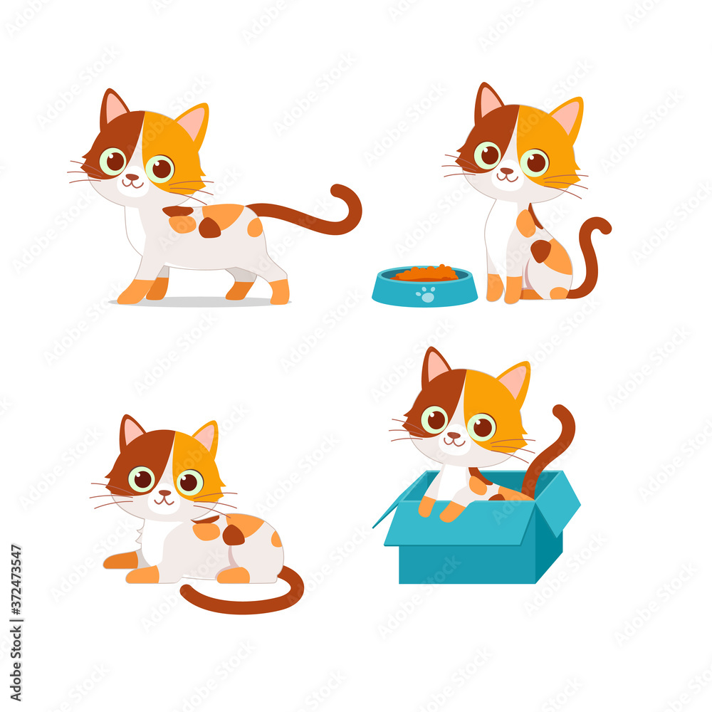 Fototapeta premium cute cat pet animal playing pose style set bundle