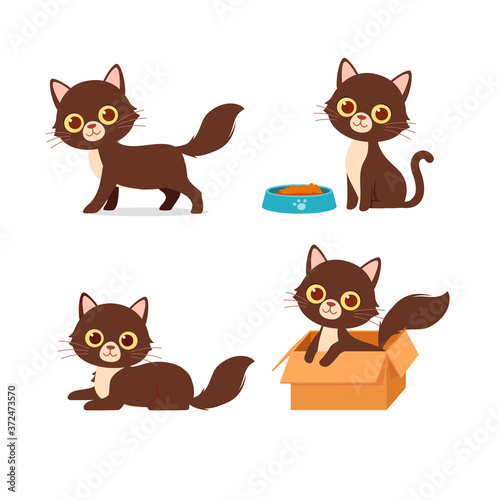 cute cat pet animal playing pose style set bundle