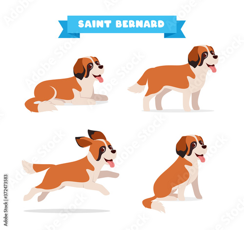 cute saint bernard dog animal pet with many pose bundle set