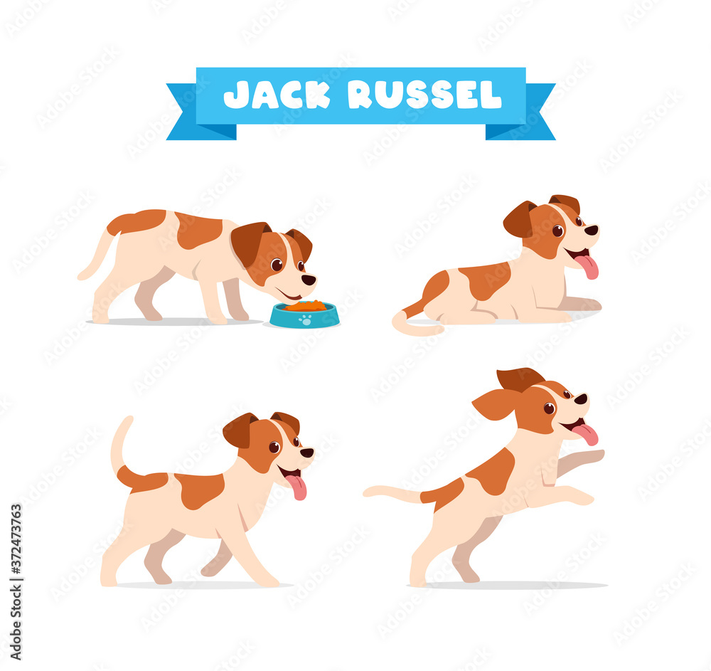 cute jack russel dog animal pet with many pose bundle set