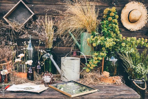 bouquets of different aromatic windflowers and glass bottles put on old wooden table standing near rustic wall of country house on autumn day