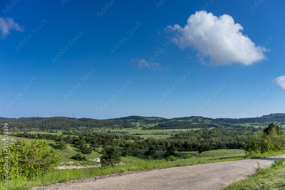 flat landscape with green vegetation and road