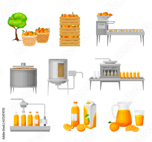 Orange Juice Production with Harvesting, Cleaning and Extraction Stages Vector Illustration Set