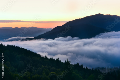 Dawn view in the mountains. Fog among the mountains, a green coniferous forest on the slopes and the sun rising from behind the mountains. © Ann Stryzhekin