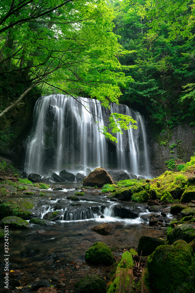 Obraz premium 達沢不動滝