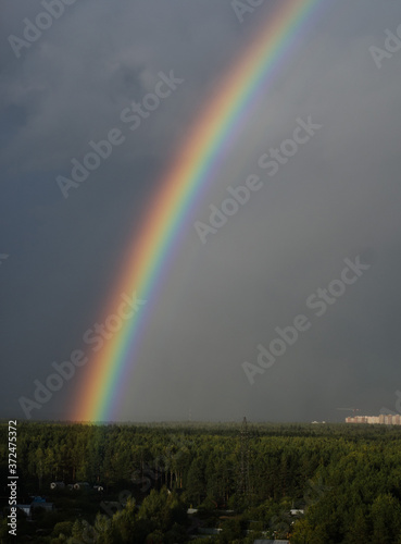 rainbow on the background of the forest and sky