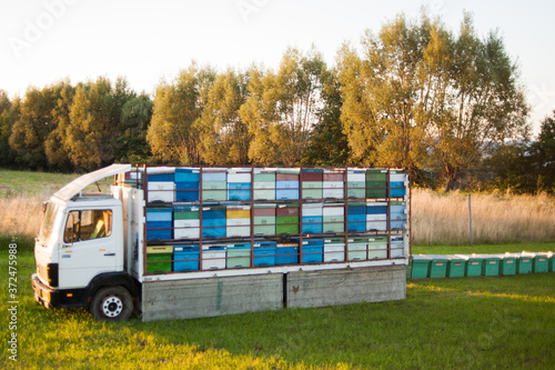 beehives on a truck photo