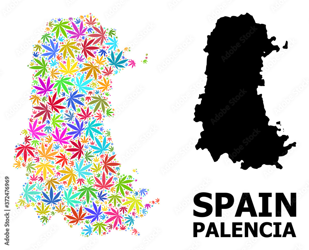 Obraz premium Vector Mosaic Map of Palencia Province of Psychedelic Weed Leaves and Solid Map