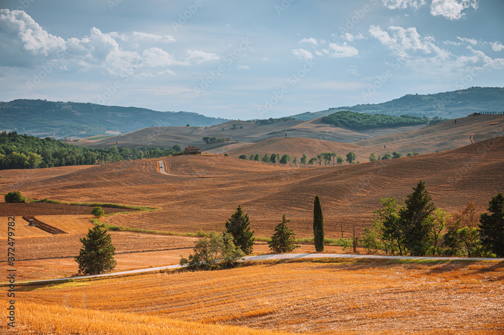 Obraz premium Autumn fall in the Italian land