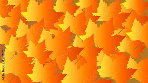 Pattern of orange  red and yellow leaves in fall. Graphic background with fall s leaves