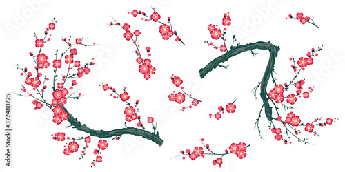 Set of blooming plum branches