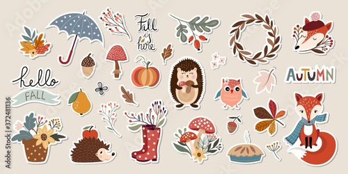 Autumn stickers collection with cute seasonal elements
