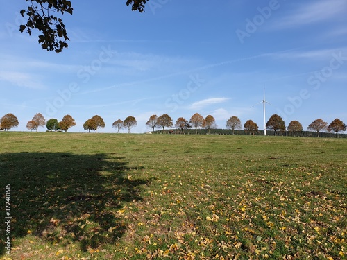 Urlaub auf dem Bauernhof photo