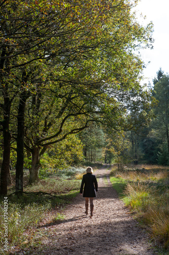 Fall. Autumn. Having a stroll in nature. Forest Netherlands. © A
