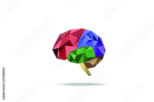 Brain polygon vector with white background,low poly style ,geometric and triangle modern design,section of brain cartoon element,vector art and illustration.