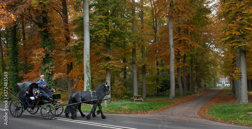 Carriage with horses. Fall. Autumn. Maatschappij van Weldadigheid. Lane with colourfull leaves of beechtree. Huis Westerbeek Frederiksoord Drenthe Netherlands. photo