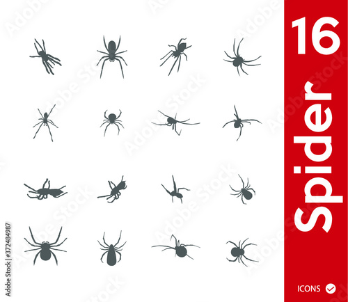 Set of spiders © Sky